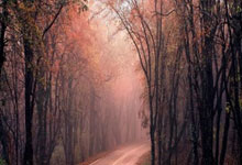 国足新帅赛前动员大会召开，整顿球队氛围