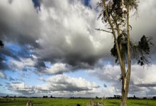 国足新帅赛前动员大会召开，整顿球队氛围