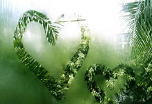 帕尔马客场战平对手积分保持不变