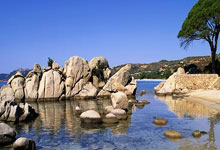 欧洲代表队获得亮眼表现，斩获奖牌