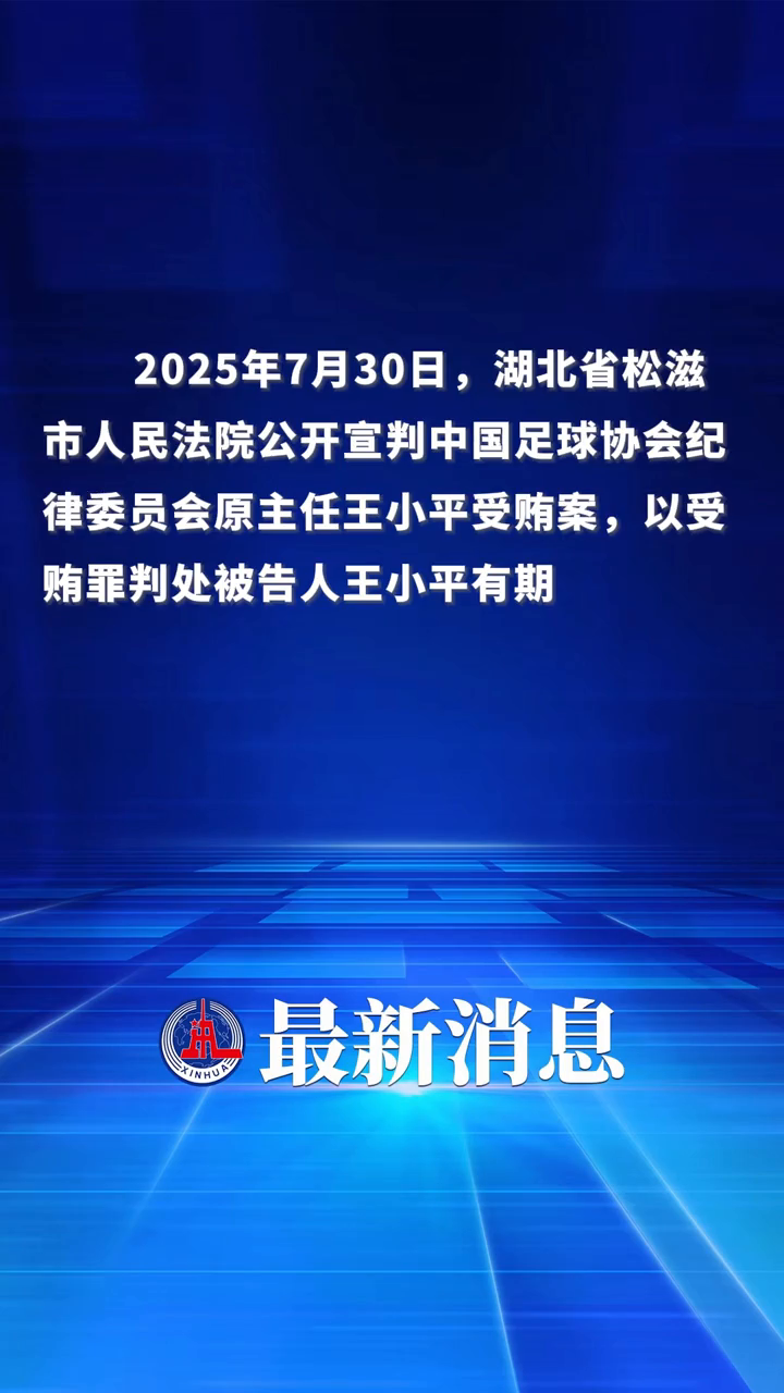 足协原纪律委员会主任王小平一审获刑10年6个月+罚金70万(足协王小平签字)